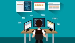 Career choices for Software Engineers in Pakistan