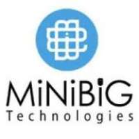 MiniBigTech
